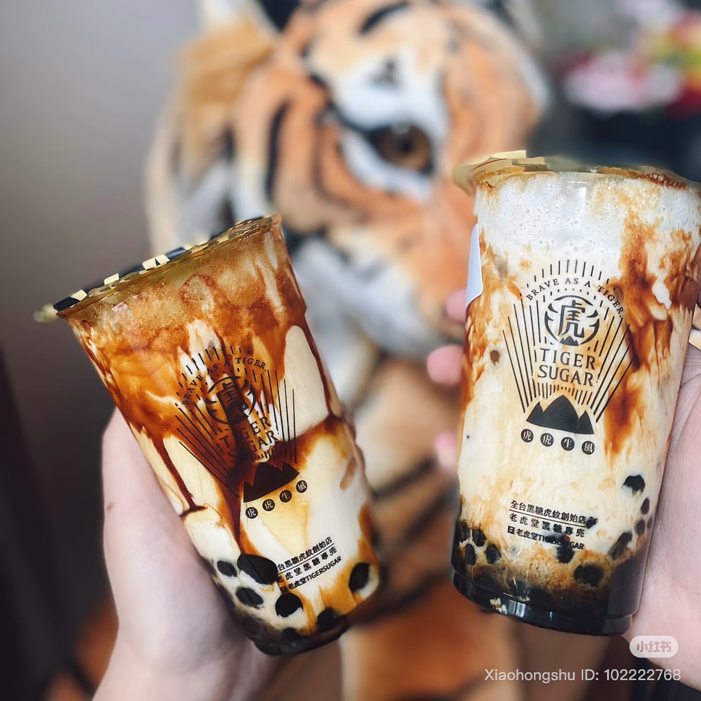 TIGER SUGAR photo 2