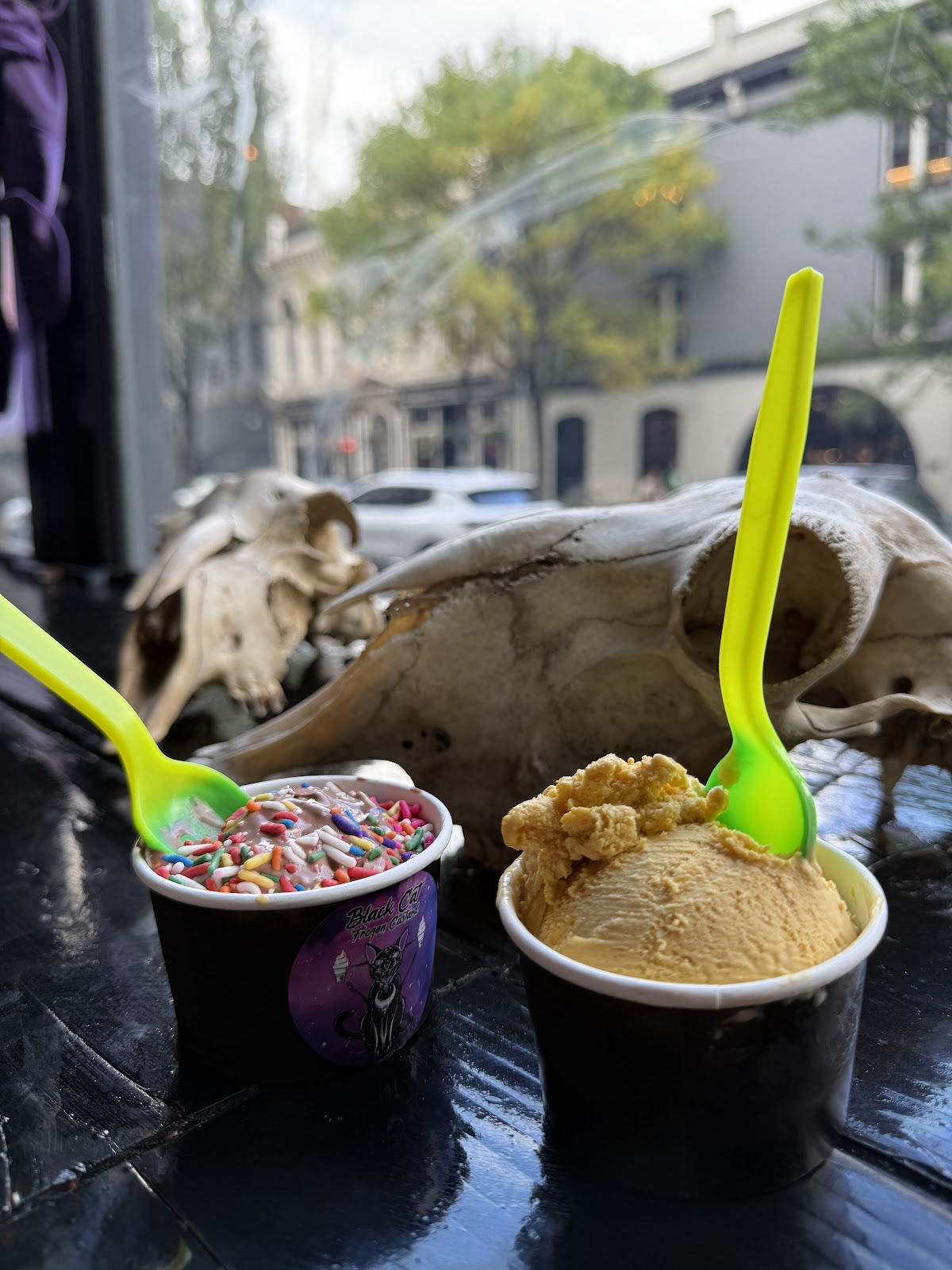 Black Cat Frozen Custard & Coffee photo 2