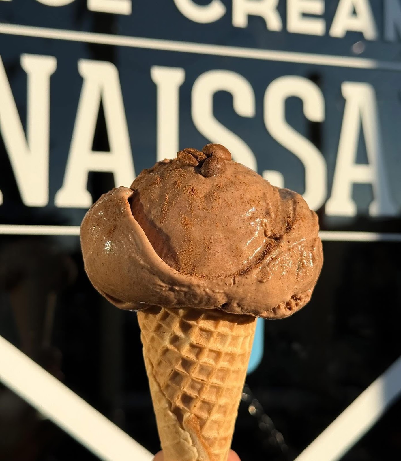 Ice Cream Renaissance at Oak Tree Station photo 2